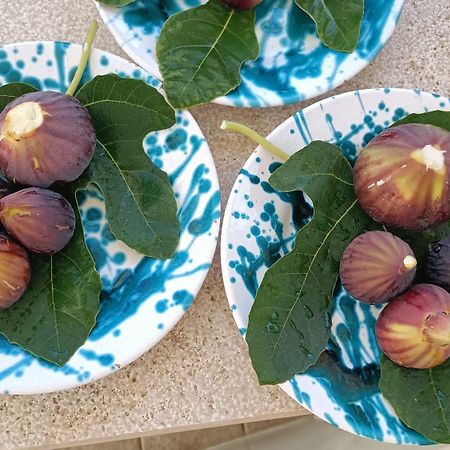 Masseria Ella 풀사노 외부 사진